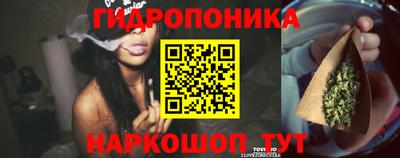 mdpv Канаш