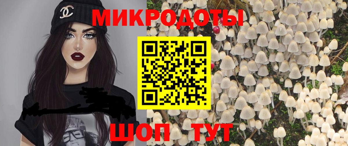 Псилоцибиновые грибы GOLDEN TEACHER Кузнецк