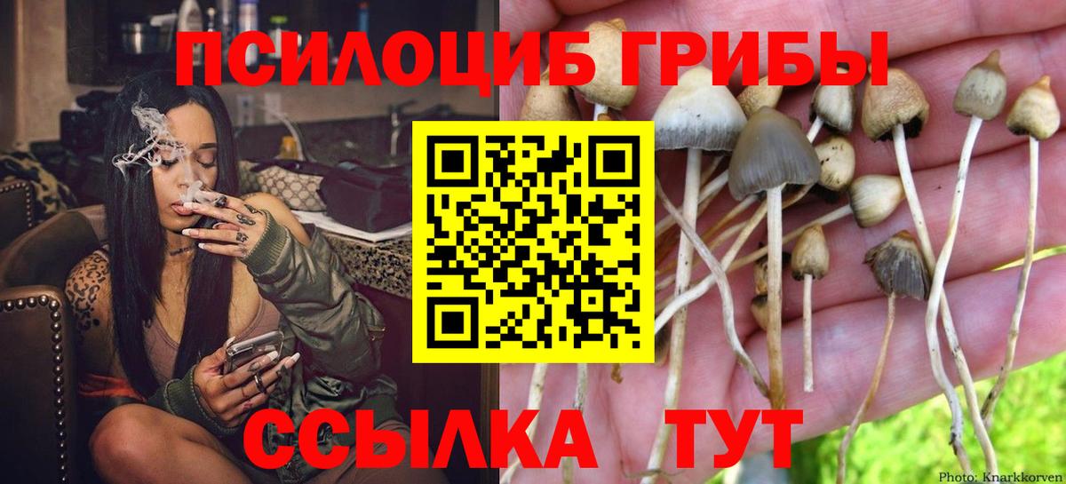 Псилоцибиновые грибы прущие грибы  Псилоцибиновые грибы Cubensis  Кузнецк  Вход с VPN 