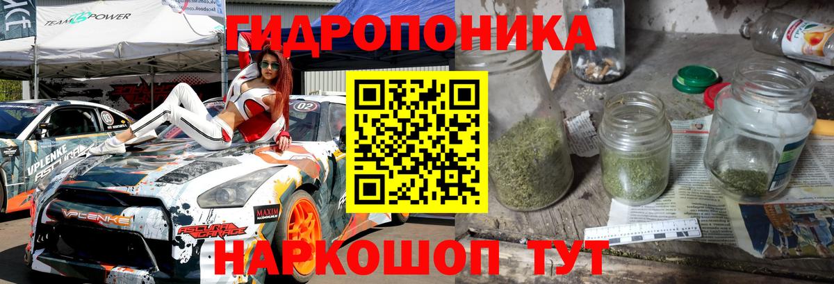 МАРИХУАНА сатива Кузнецк
